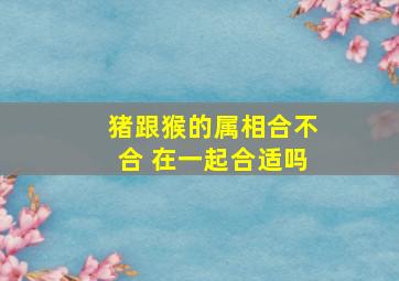 猪跟猴的属相合不合 在一起合适吗